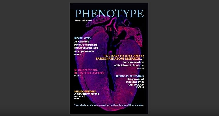 In the Pursuit of a Great Education and Career | Phenotype, Issue 32 HT 2019